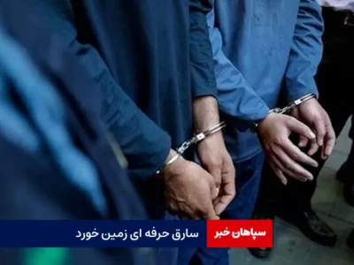 سارق حرفه ای زمین خورد