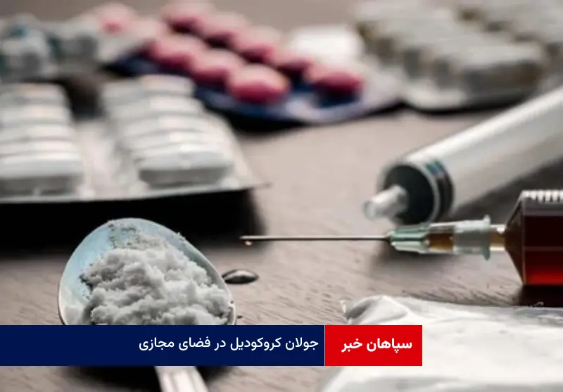 جولان کروکودیل در فضای مجازی