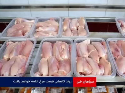 روند کاهشی قیمت مرغ ادامه خواهد یافت