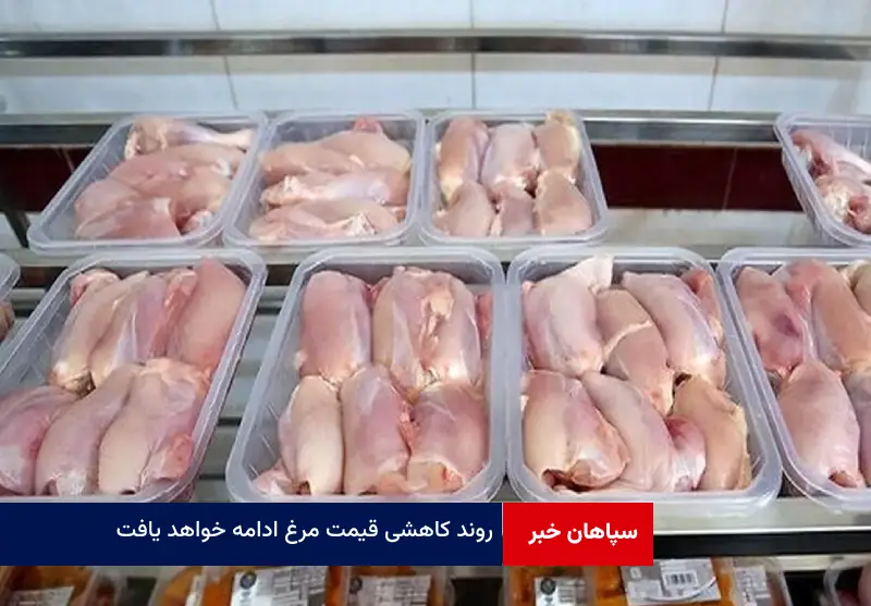 روند کاهشی قیمت مرغ ادامه خواهد یافت