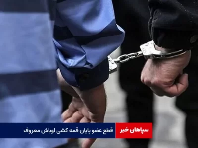قطع عضو پایان قمه کشی اوباش معروف