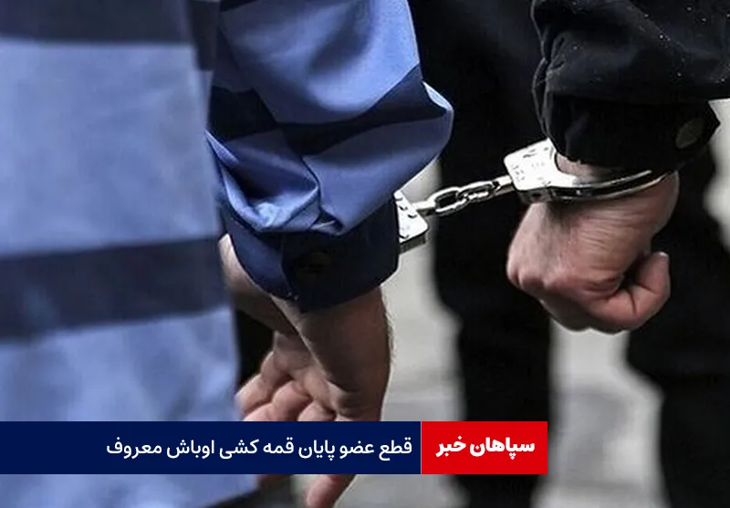 قطع عضو پایان قمه کشی اوباش معروف