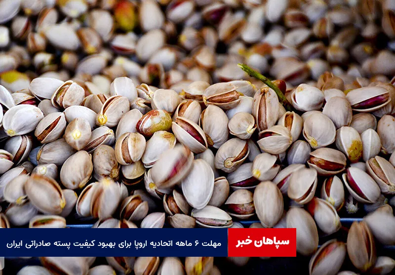 مهلت ۶ ماهه اتحادیه اروپا برای بهبود کیفیت پسته صادراتی ایران