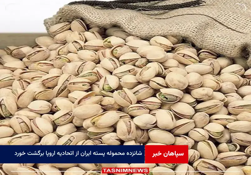 ۱۶ محموله پسته ایران از اتحادیه اروپا برگشت خورد