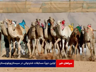 اولین دورهٔ مسابقات شتردوانی در سیستان‌وبلوچستان