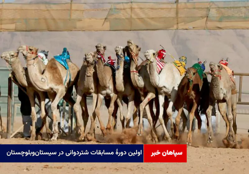 اولین دورهٔ مسابقات شتردوانی در سیستان‌وبلوچستان