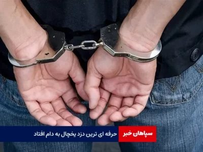 حرفه ای ترین دزد یخچال به دام افتاد