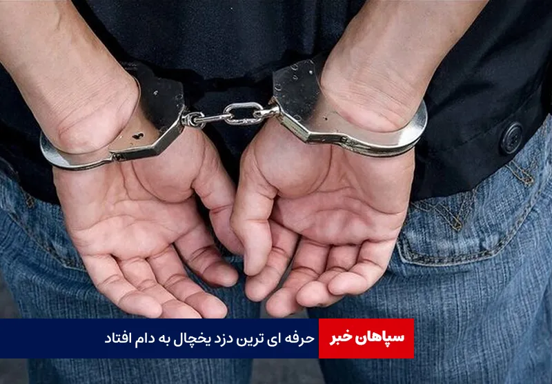 حرفه ای ترین دزد یخچال به دام افتاد