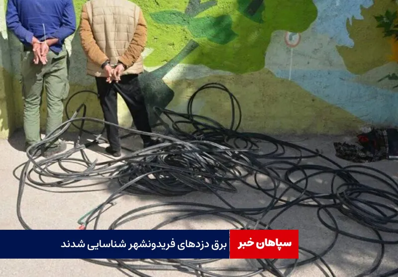 برق دزدهای فریدونشهر شناسایی شدند