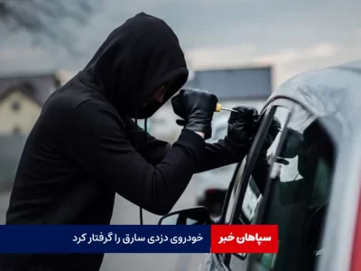 خودروی دزدی سارق را گرفتار کرد