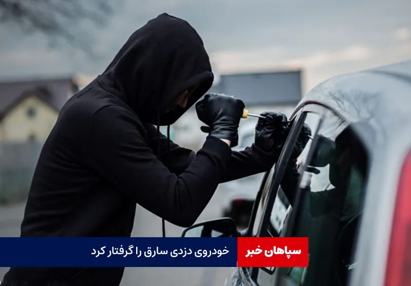 خودروی دزدی سارق را گرفتار کرد