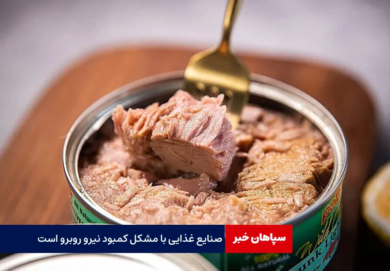 صنایع غذایی با مشکل کمبود نیرو روبرو است