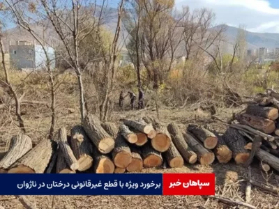 برخورد ویژه با قطع غیرقانونی درختان در ناژوان