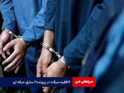 ۱۴ فقره سرقت در پرونده ۲ سارق حرفه ای