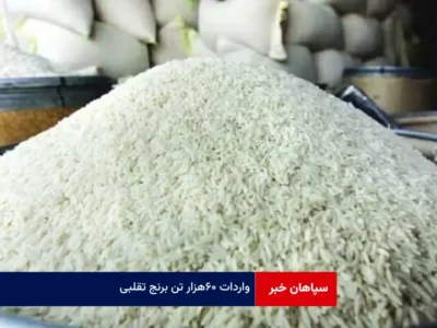 واردات ۶۰ هزار تن برنج تقلبی
