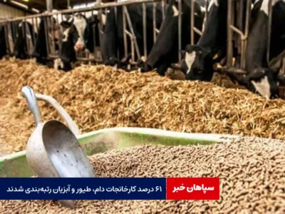 ۶۱ درصد کارخانجات دام، طیور و آبزیان رتبه‌بندی شدند