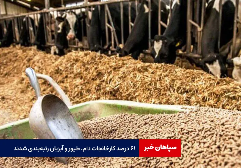 ۶۱ درصد کارخانجات دام، طیور و آبزیان رتبهبندی شدند