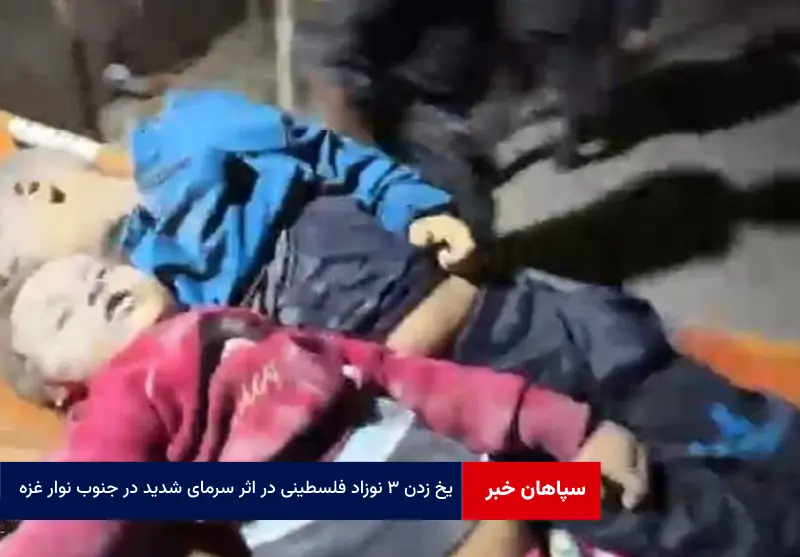 یخ زدن ۳ نوزاد فلسطینی در اثر سرمای شدید در جنوب نوار غزه