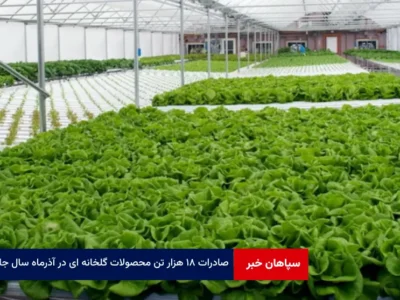 صادرات ۱۸ هزار تن محصولات گلخانه ای در آذرماه سال جاری