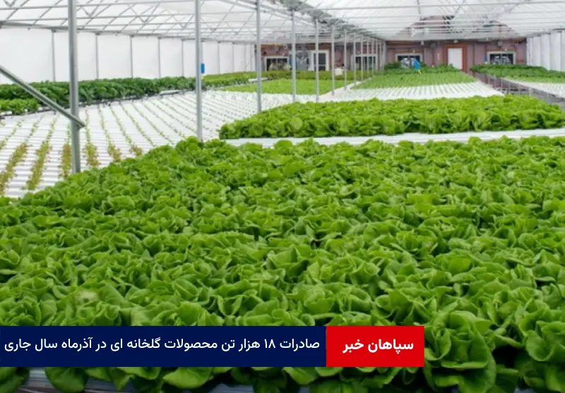 صادرات ۱۸ هزار تن محصولات گلخانه ای در آذرماه سال جاری