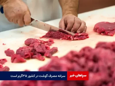 سرانه مصرف گوشت در کشور ۳۵ گرم است