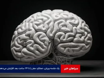 یافته‌های جدید نشان می‌دهد یک جلسه ورزش، عملکرد مغز را تا ۲۴ ساعت بعد افزایش می‌دهد