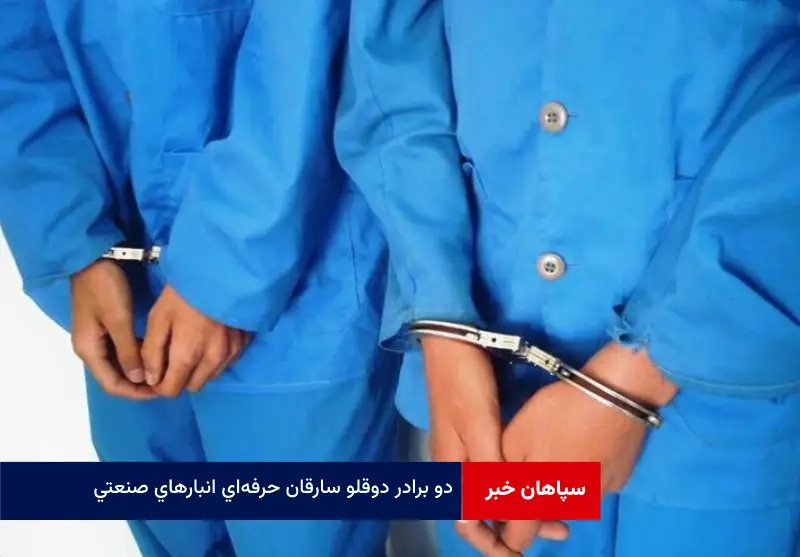 دو برادر دوقلو سارقان حرفهای انبارهای صنعتی