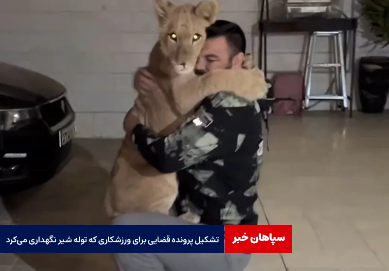 تشکیل پرونده قضایی برای ورزشکاری که توله شیر نگهداری میکرد