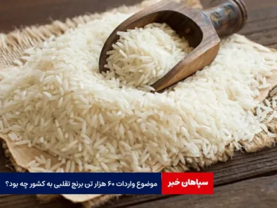 موضوع واردات ۶۰ هزار تن برنج تقلبی به کشور چه بود؟
