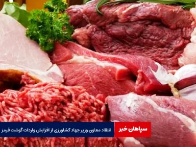 انتقاد معاون وزیر جهاد کشاورزی از افزایش واردات گوشت قرمز