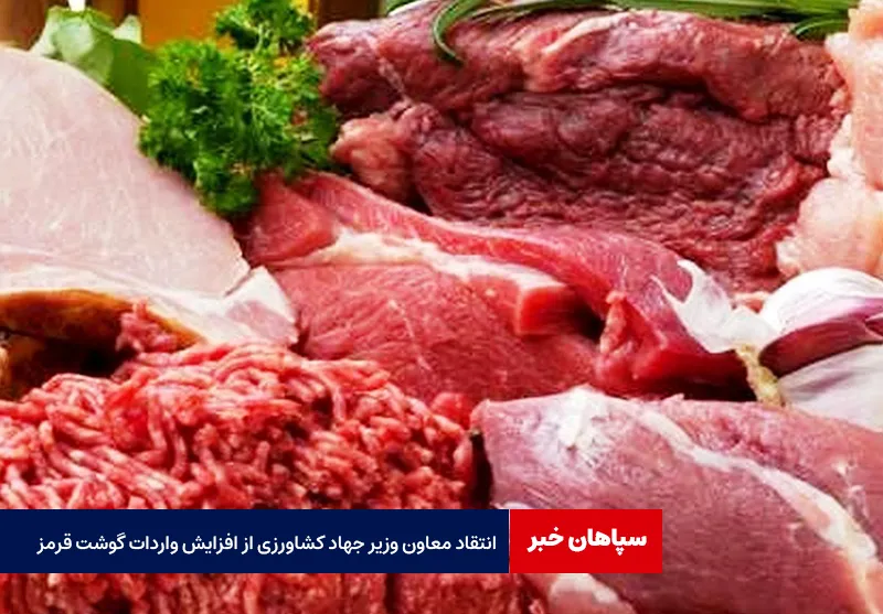 انتقاد معاون وزیر جهاد کشاورزی از افزایش واردات گوشت قرمز