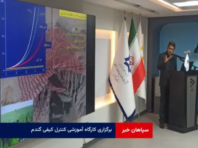 برگزاری کارگاه آموزشی کنترل کیفی گندم باحضور معاون پژوهشی موسسه تحقیقات گیاه‌پزشکی کشور