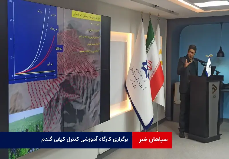 برگزاری کارگاه آموزشی کنترل کیفی گندم باحضور معاون پژوهشی موسسه تحقیقات گیاه‌پزشکی کشور