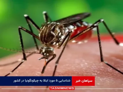 شناسایی ۵ مورد ابتلا به چیکونگونیا در کشور