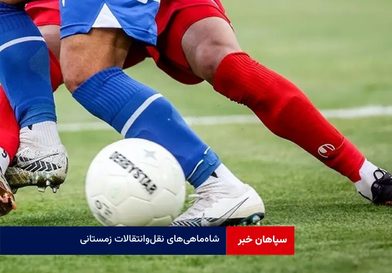شاه‌ماهی‌های نقل‌وانتقالات زمستانی