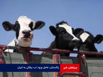 پاکستان، عامل ورود تب برفکی به ایران