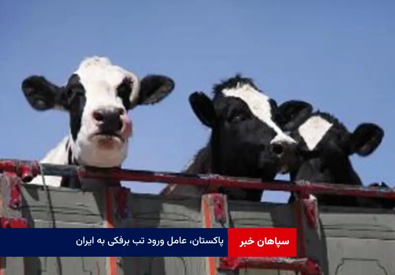 پاکستان، عامل ورود تب برفکی به ایران