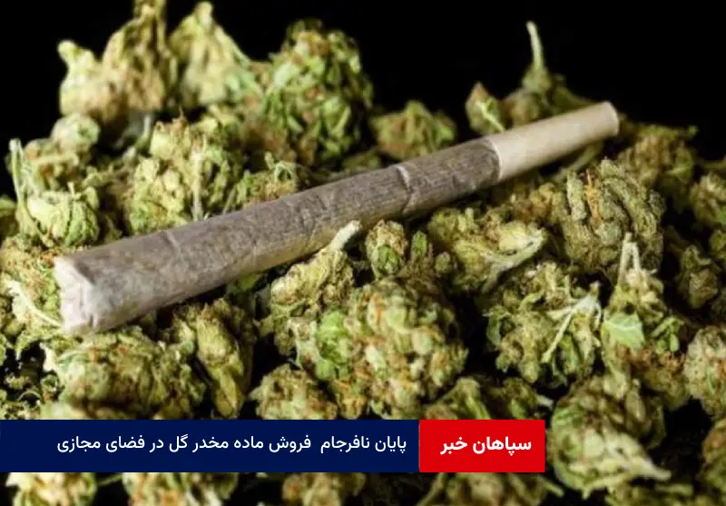 پایان نافرجام فروش ماده مخدر گل در فضای مجازی