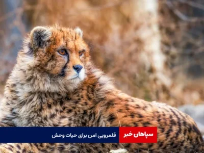 قلمرویی‌ امن برای حیات وحش