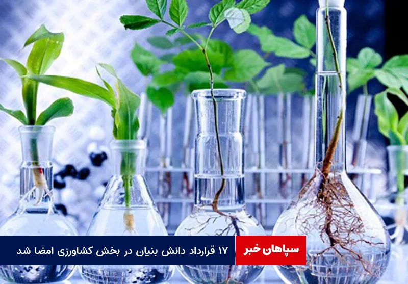 ۱۷ قرارداد دانش بنیان در بخش کشاورزی امضا شد