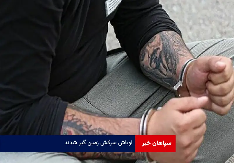 اوباش سرکش زمین گیر شدند