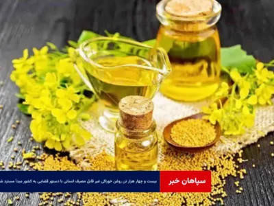 ۴۴ هزار تن روغن خوراکی غیر قابل مصرف انسانی با دستور قضایی به کشور مبدأ مسترد شد