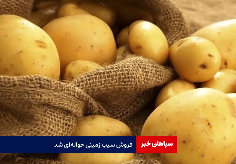 فروش سیب زمینی حواله‌ای شد
