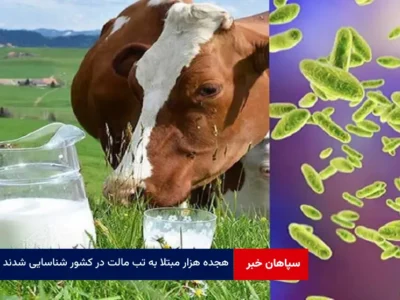 ۱۸۰۰۰ مبتلا به تب مالت در کشور شناسایی شدند