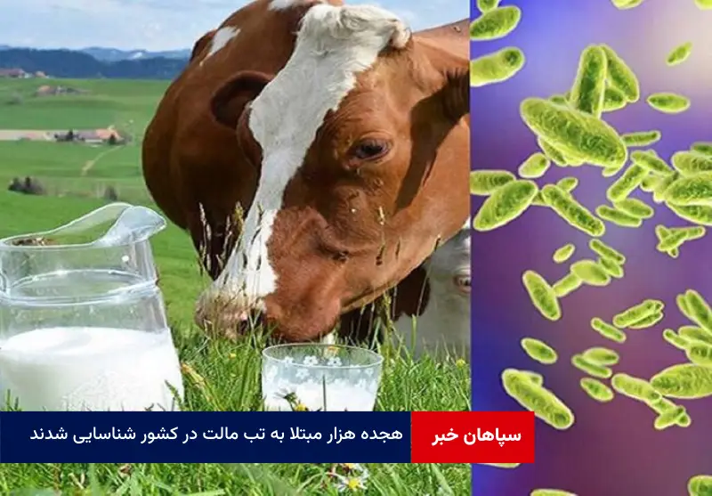 ۱۸۰۰۰ مبتلا به تب مالت در کشور شناسایی شدند