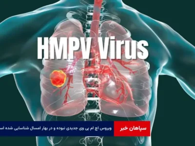 ویروس hmpv جدیدی نبوده و در بهار امسال شناسایی شده است