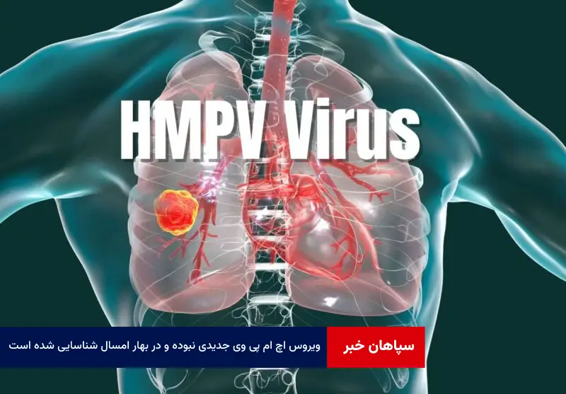 ویروس hmpv جدیدی نبوده و در بهار امسال شناسایی شده است