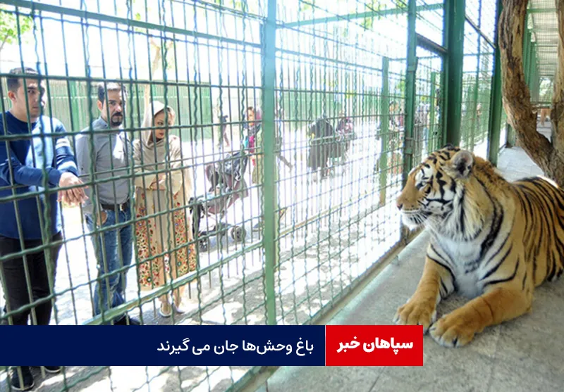 باغ وحشها جان می گیرند