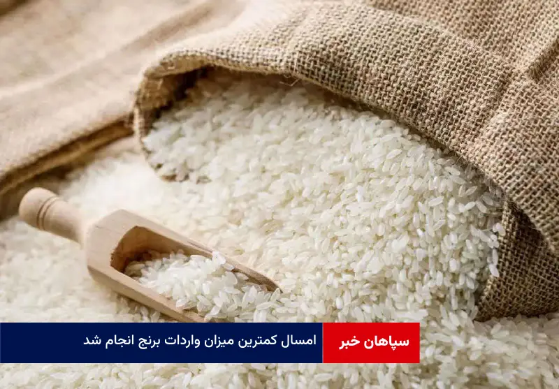 امسال کمترین میزان واردات برنج انجام شد