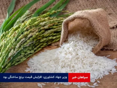وزیر جهاد کشاورزی: افزایش قیمت برنج ساختگی بود